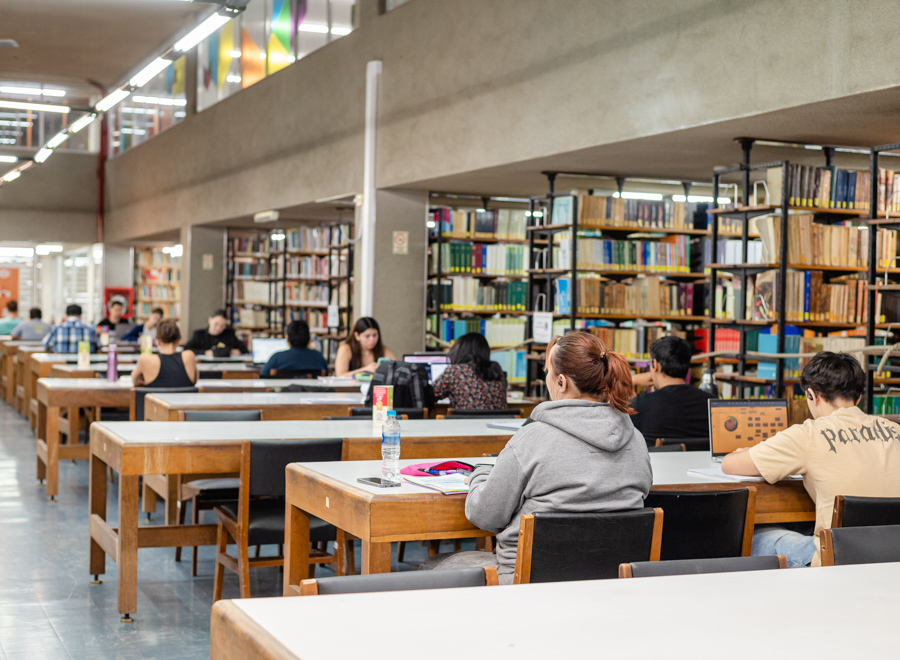biblioteca feb 2025 02