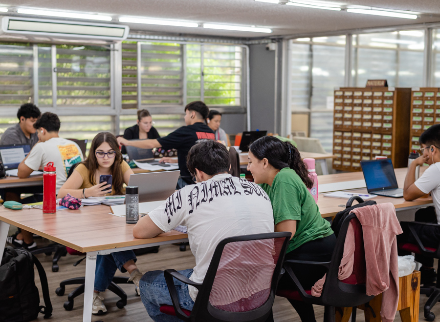 biblioteca feb 2025 02