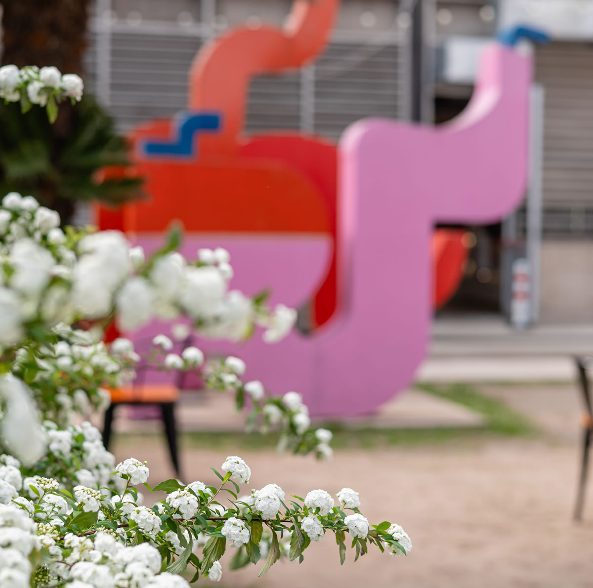 fachada jardines02 patio reforma flores primavera sept 2025 cuadr 1200x1190