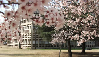 Facultad01
