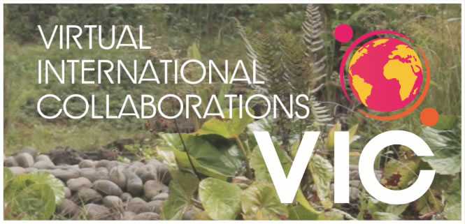 VIC logo