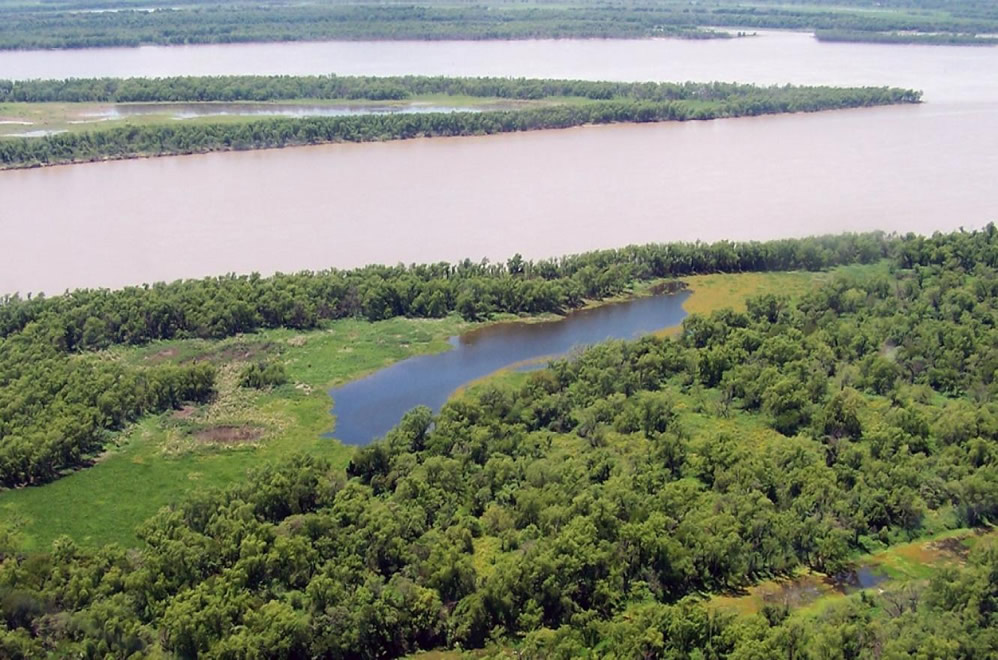 El río Paraná en una imagen extraída del sitio web www.analisisdigital.com.ar