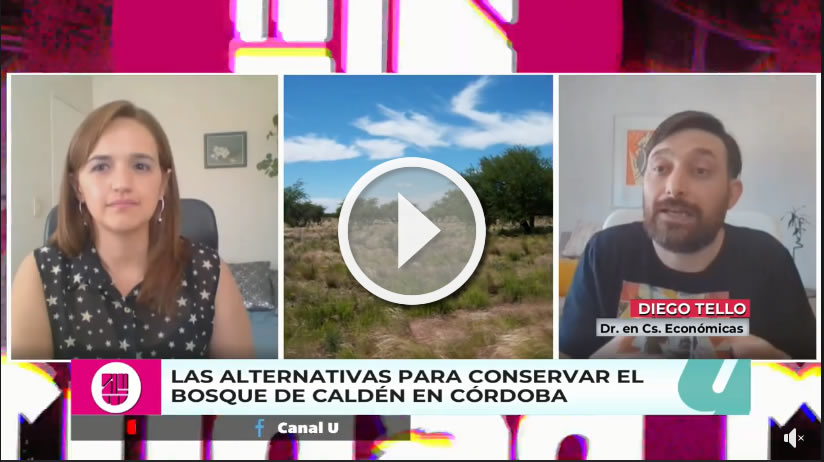 Reproductor del video donde están la conductora del programa, Diego Tello y un bosque de caldén