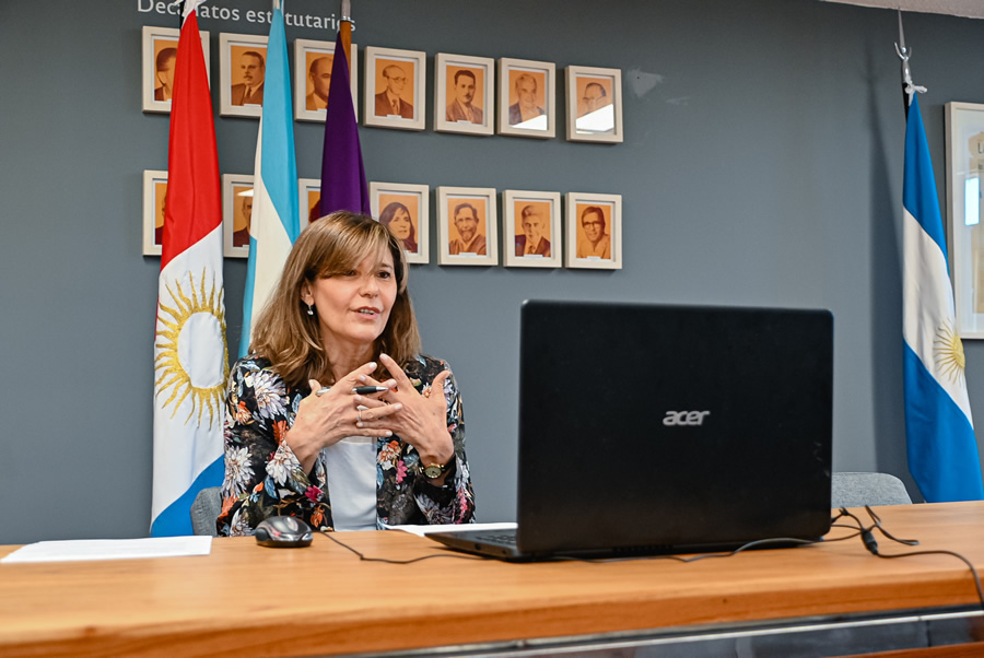La Vicedecana Catalina Alberto, sentada, hablando frente a una computadora personal, con sus manos con dedos extendidos y entrelazados a la altura de cuello