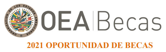 oea becas