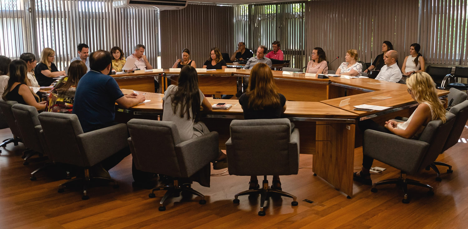 Las 18 personas representantes de los distintos claustros están sentadas alrededor de la mesa del plenario