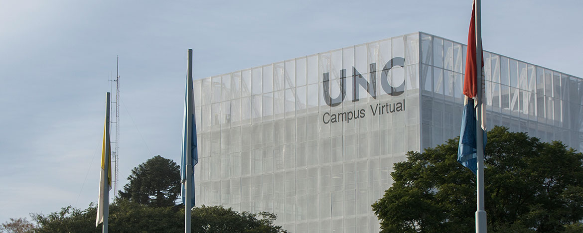 UNC Campus Virtual cursos 0 3