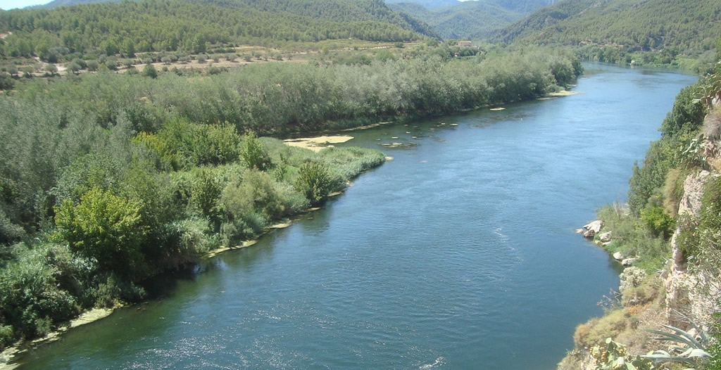 Un río y vegetación en sus márgenes en un día soleado