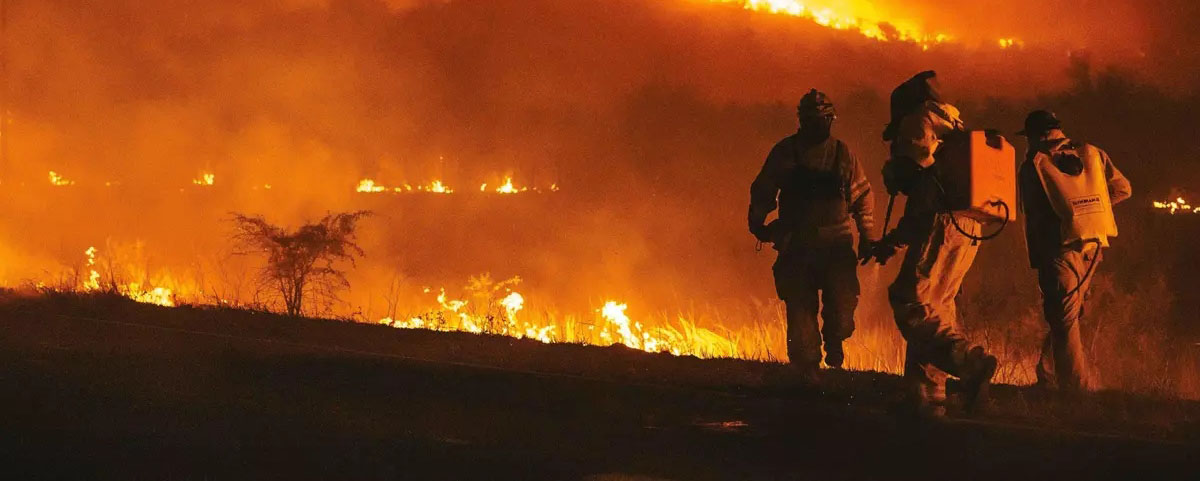 2026 convocatoria investigar roblematicas ambientales