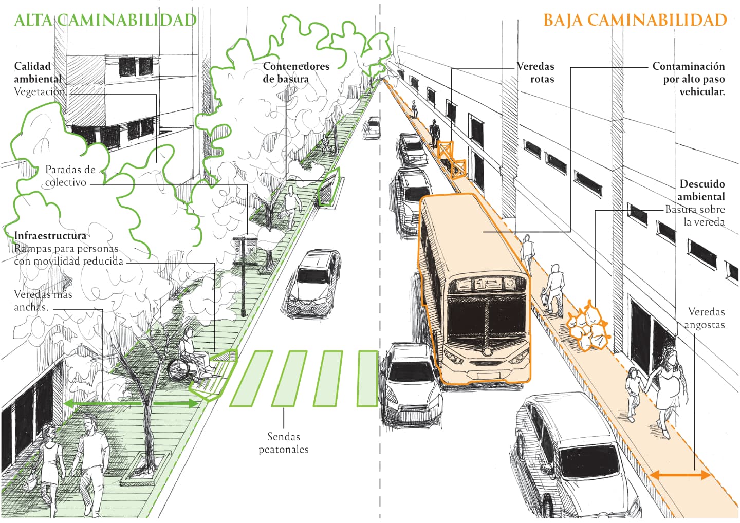 Relevan el estado de caminabilidad en el microcentro cordobes