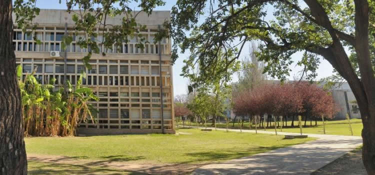 Sector posterior del edificio de la Facultad en un día soleado