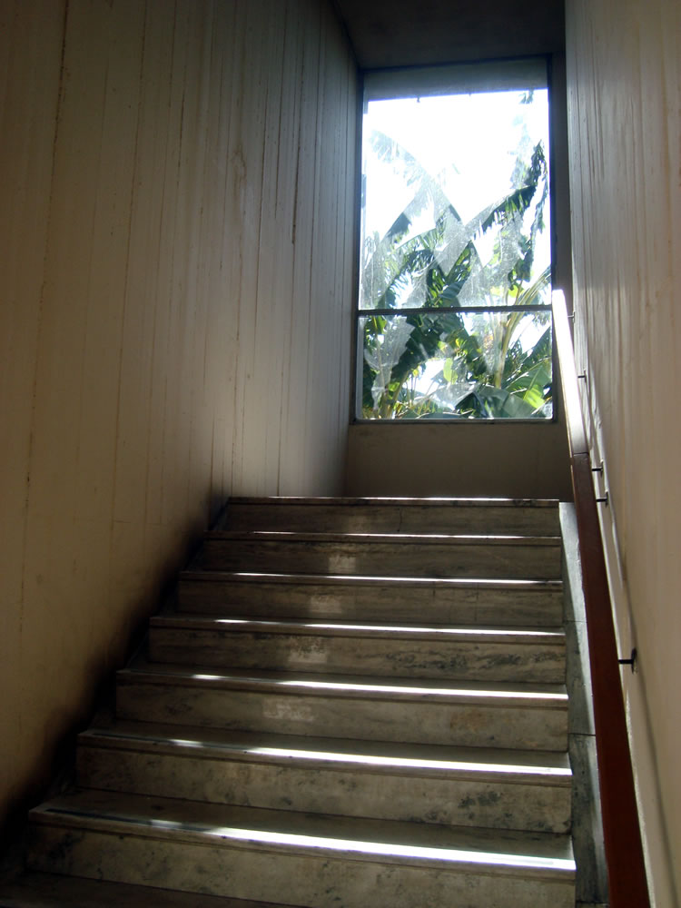 Escaleras del edificio de la Facultad y un vidrio al final en un día soleado