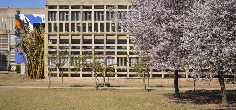 Espacio exterior oeste del edificio de la Facultad en un día soleado con los árboles florecidos