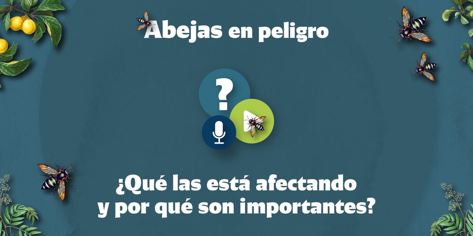 Abejas en peligro
