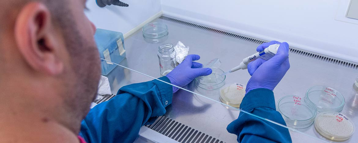 Becas doctorales Secyt CONICET2023