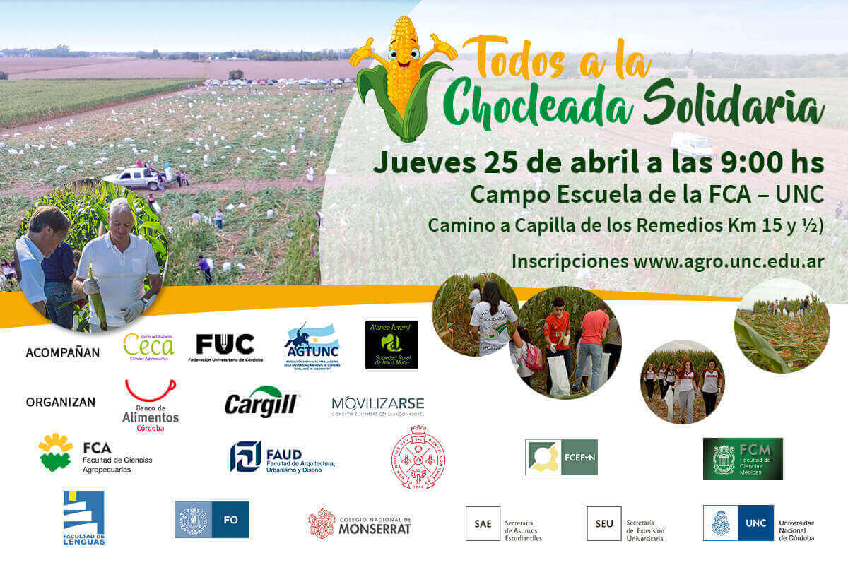 chocleada solidaria