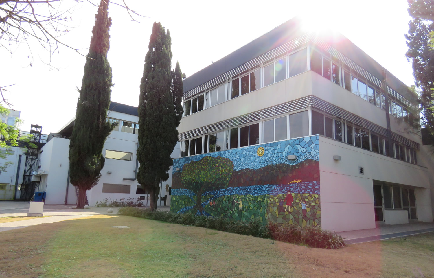 El exterior de uno de los edificios de Hemoderivados tiene dos pinos y en la pared hay un mural pintado con un árbol, flores, mucha vegetación, monañas y cielo, y la foto fue tomada en un día despejado con mucho sol