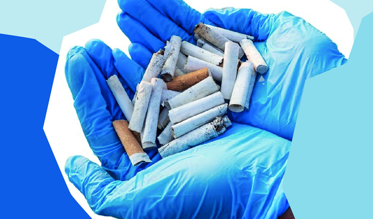 Unas veinte colillas de cigarrillos son contenidas por las dos manos con guantes de látex de una persona