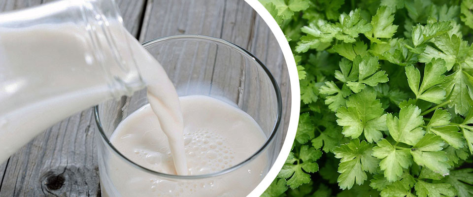 unc redalimentar leche y perejil