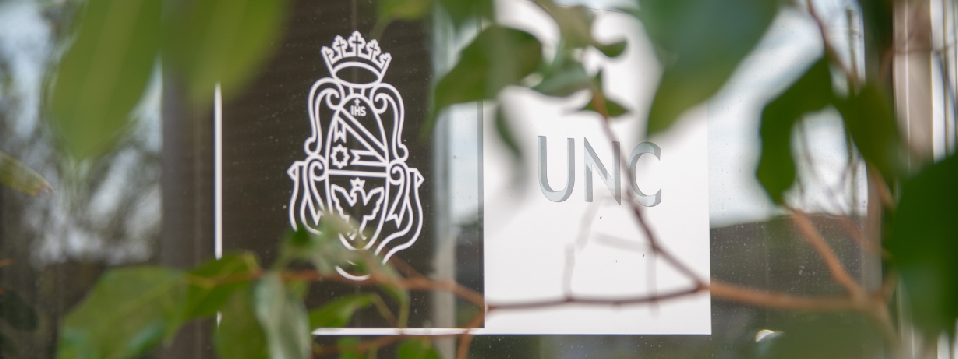 unc transparencia