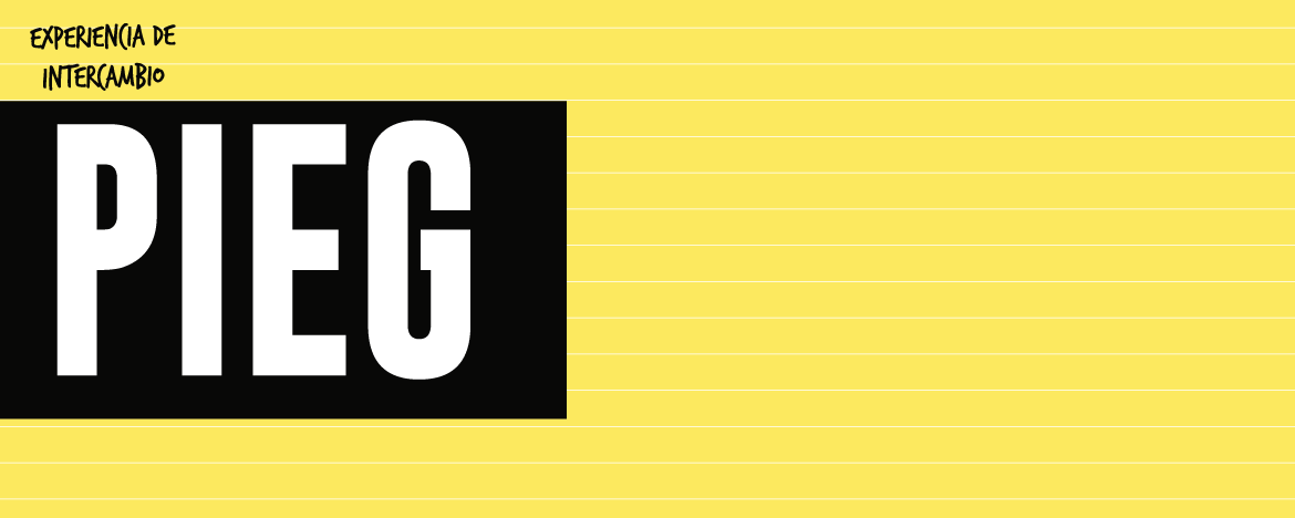 PIEG 1