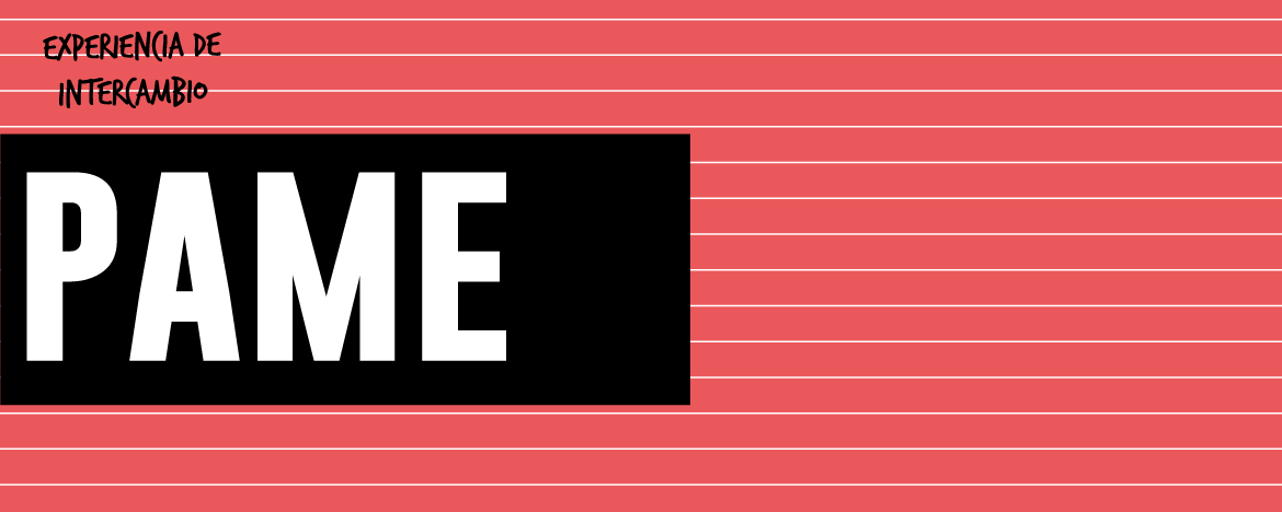 Portada web PAME 1